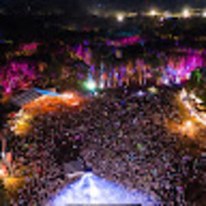 Meet your Posher, Shayne